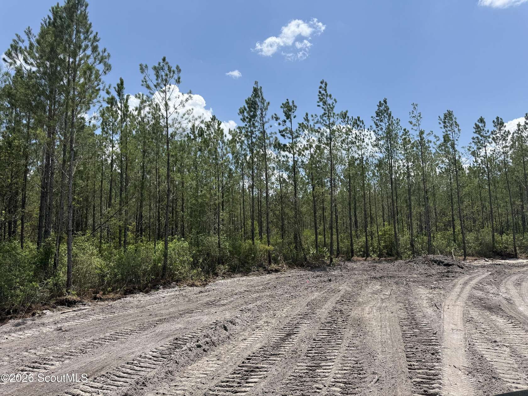 12 Acres of Land for Sale in Manor, Georgia