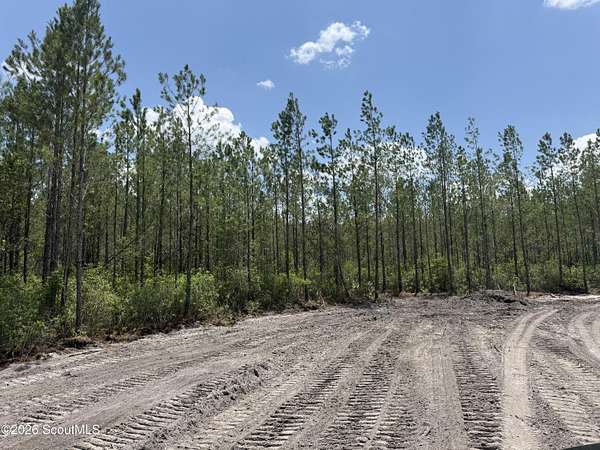 12 Acres of Land for Sale in Manor, Georgia