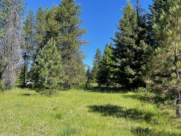 1.58 Acres of Land for Sale in Trout Creek, Montana