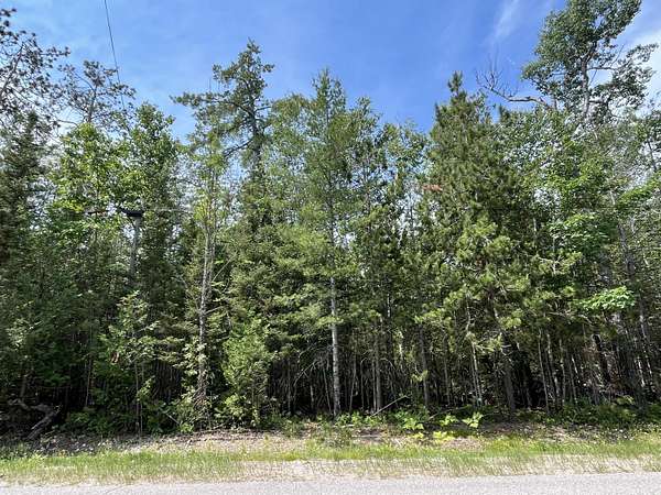 1.88 Acres of Residential Land for Sale in Presque Isle, Michigan