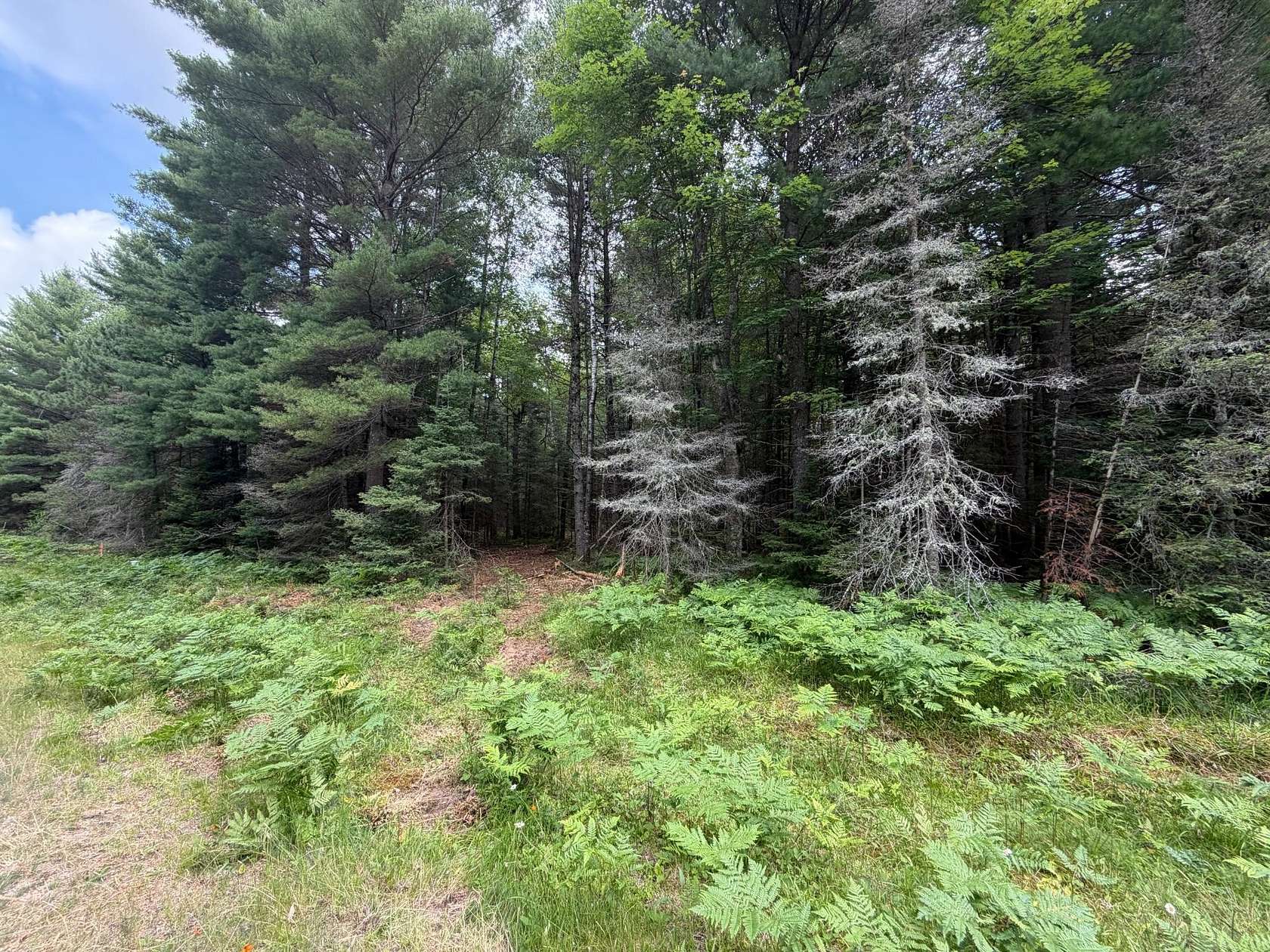 1.75 Acres of Residential Land for Sale in Eagle River, Wisconsin