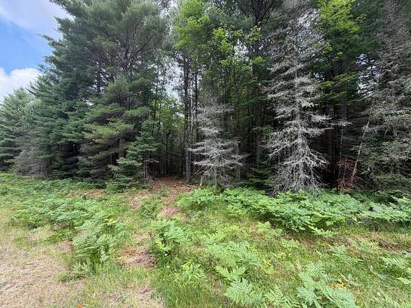 1.75 Acres of Residential Land for Sale in Eagle River, Wisconsin