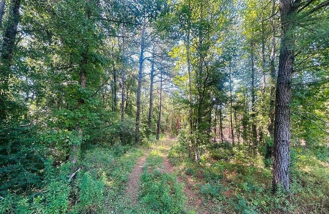 18.3 Acres of Recreational Land for Sale in Kingstree, South Carolina