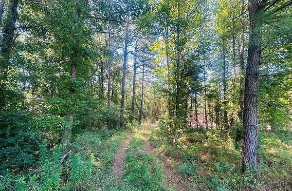 18.3 Acres of Recreational Land for Sale in Kingstree, South Carolina