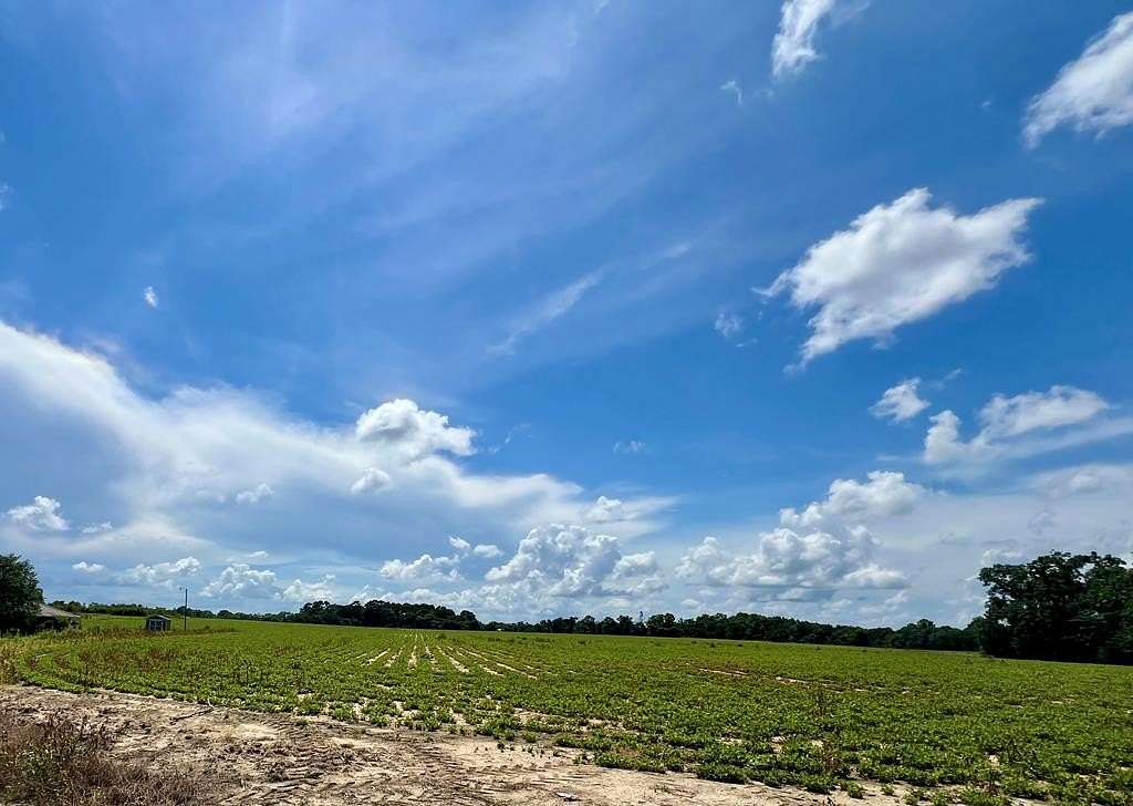 36.2 Acres of Land for Sale in Taylor, Alabama
