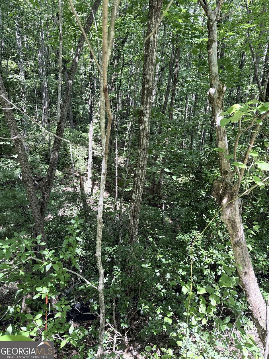 0.43 Acres of Residential Land for Sale in Clayton, Georgia