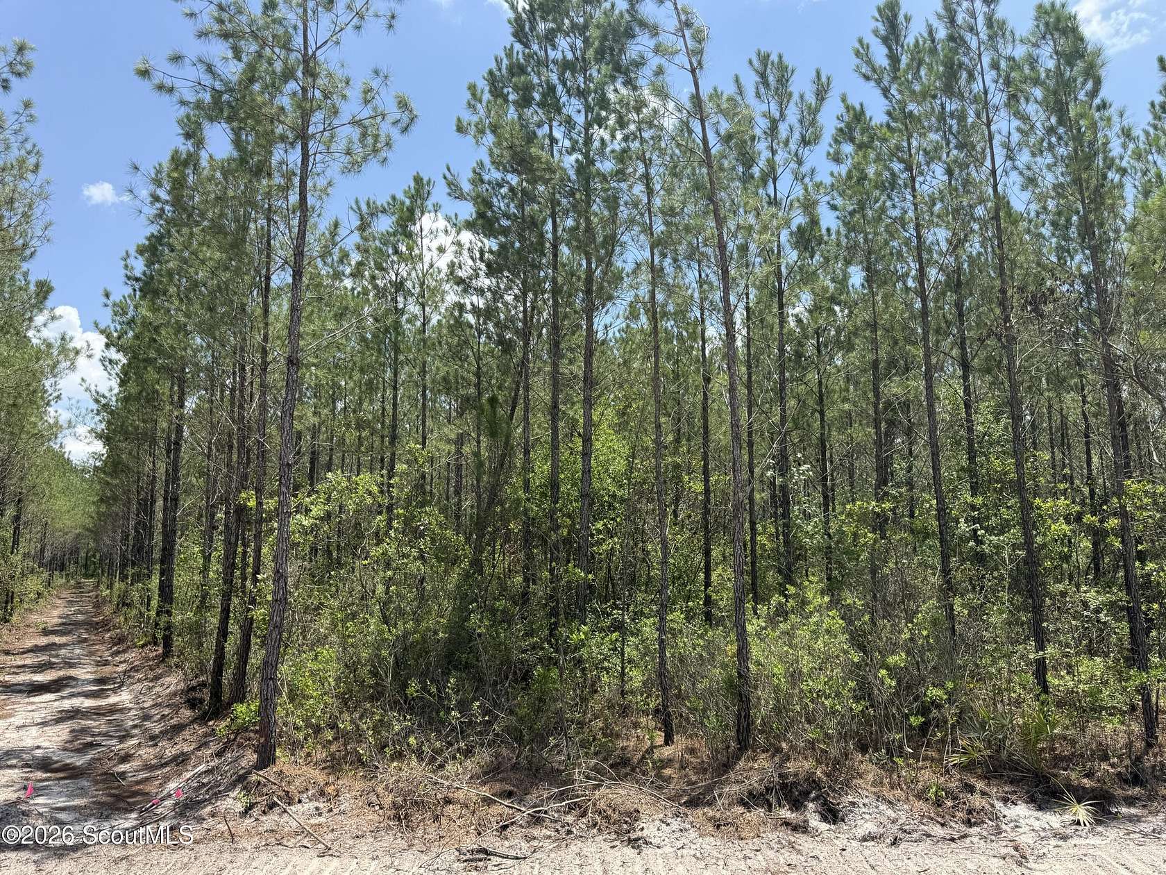 10.6 Acres of Land for Sale in Manor, Georgia