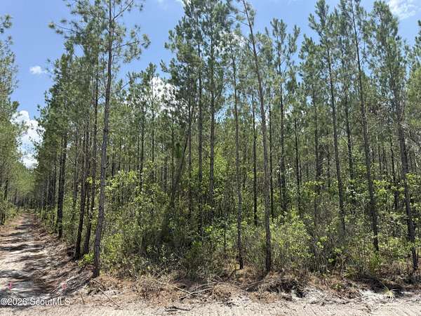 10.6 Acres of Land for Sale in Manor, Georgia