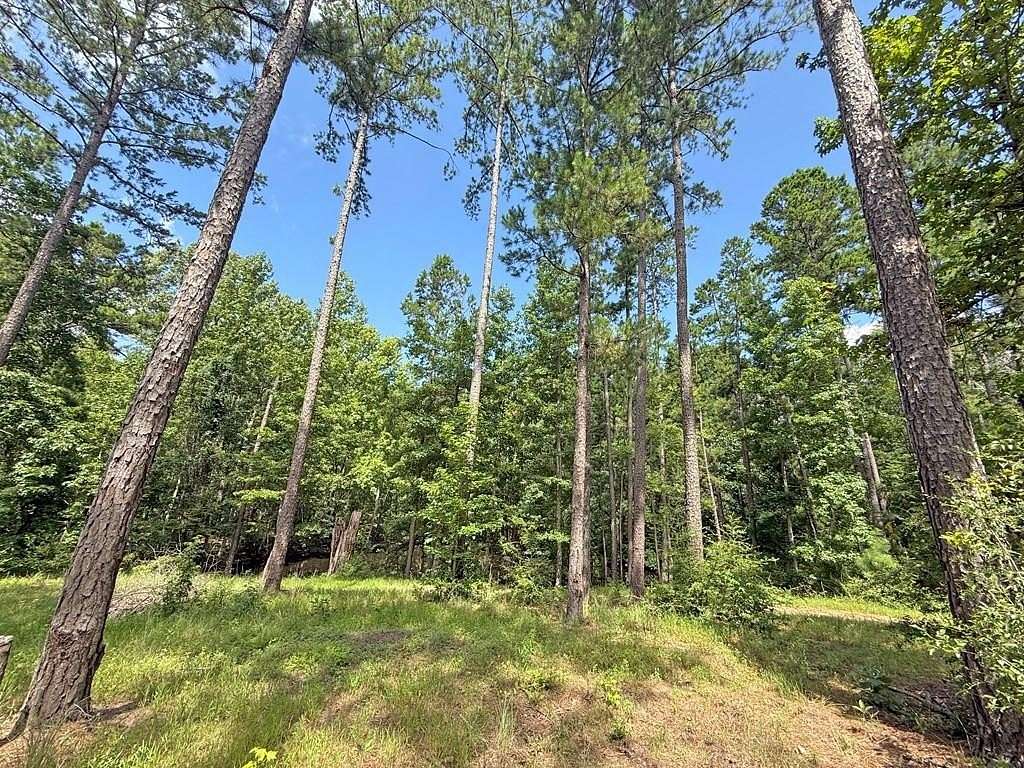 24.5 Acres of Land with Home for Sale in Cushing, Texas