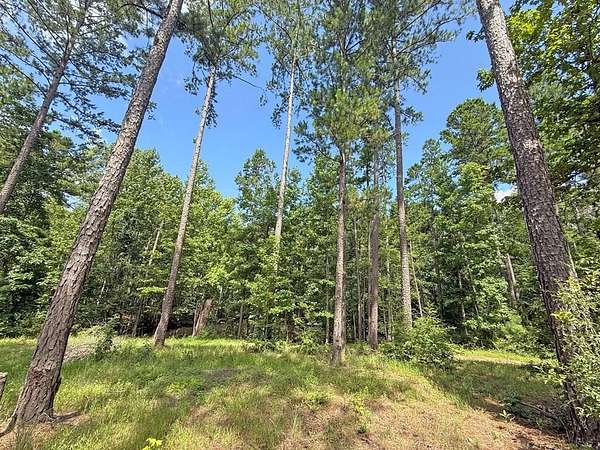 24.5 Acres of Land with Home for Sale in Cushing, Texas