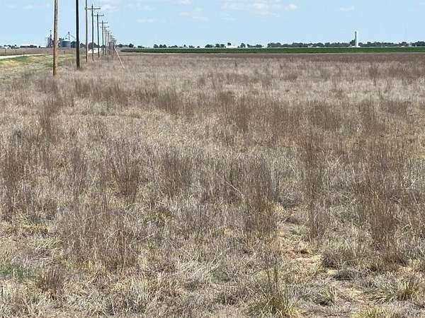 347 Acres of Agricultural Land for Sale in Vilas, Colorado