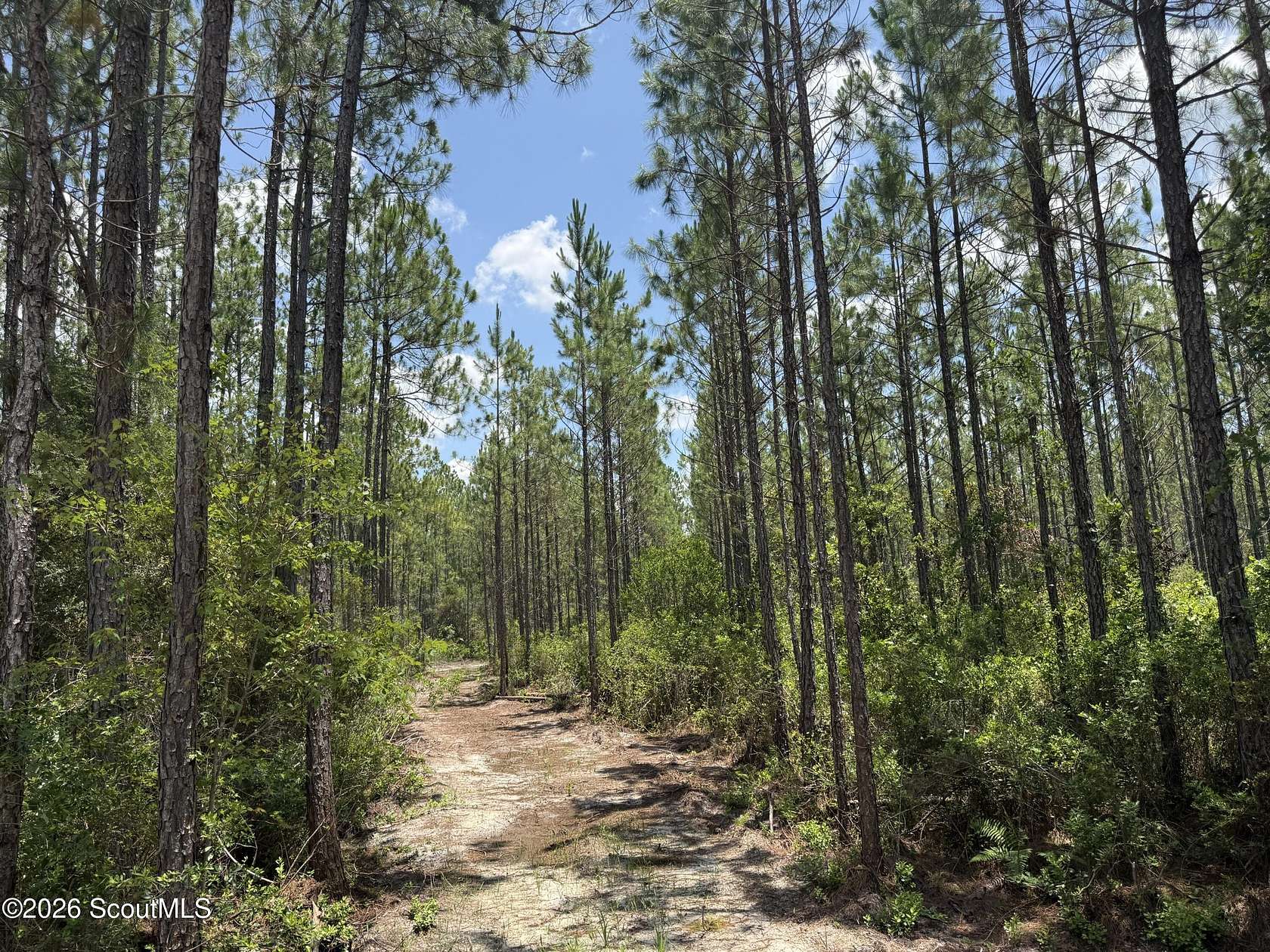 14.1 Acres of Land for Sale in Manor, Georgia