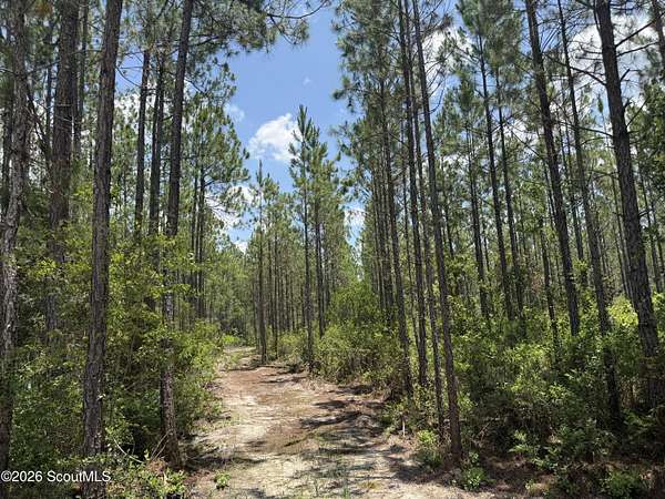 14.1 Acres of Land for Sale in Manor, Georgia