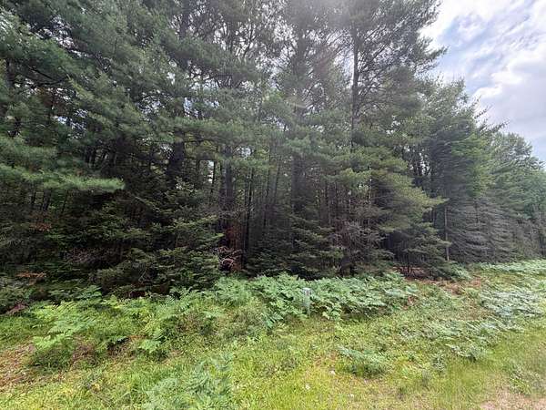 1.75 Acres of Residential Land for Sale in Eagle River, Wisconsin