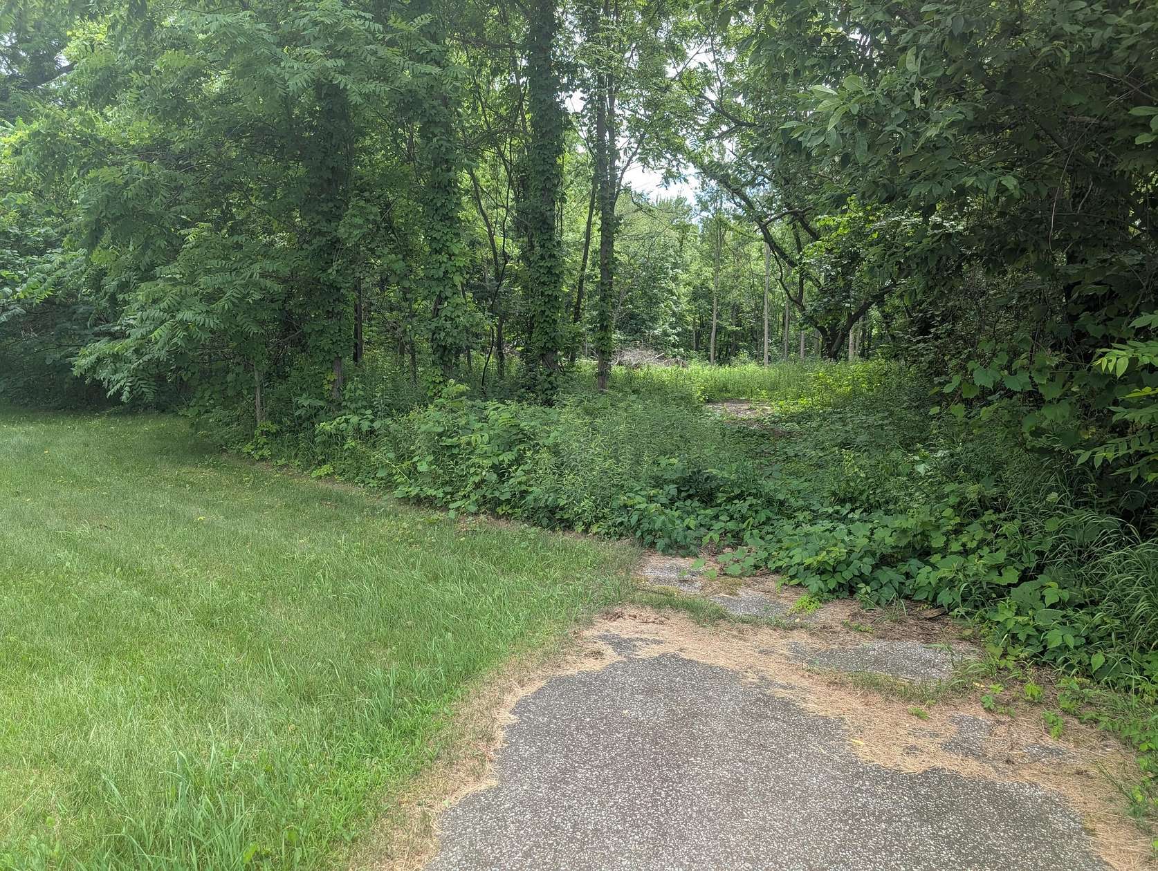 11.3 Acres of Recreational & Residential Land for Sale in Bangor, Michigan