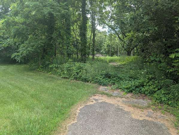 11.3 Acres of Recreational & Residential Land for Sale in Bangor, Michigan