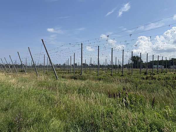 20 Acres of Agricultural & Residential Land for Sale in Berrien Springs, Michigan