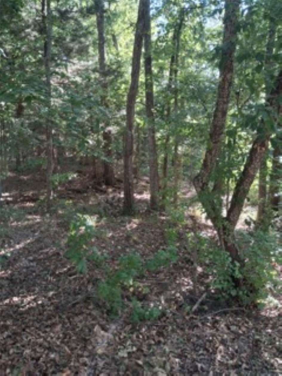 0.28 Acres of Residential Land for Sale in Murchison, Texas