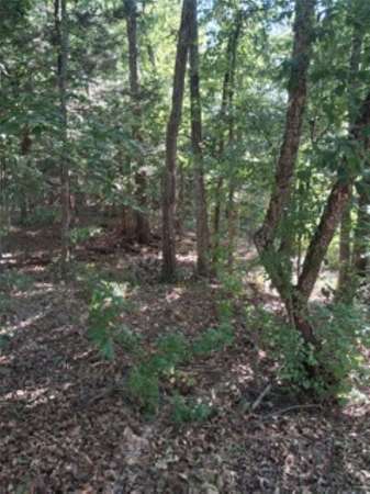 0.28 Acres of Residential Land for Sale in Murchison, Texas