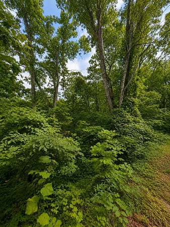 0.25 Acres of Residential Land for Sale in Smithville, Tennessee