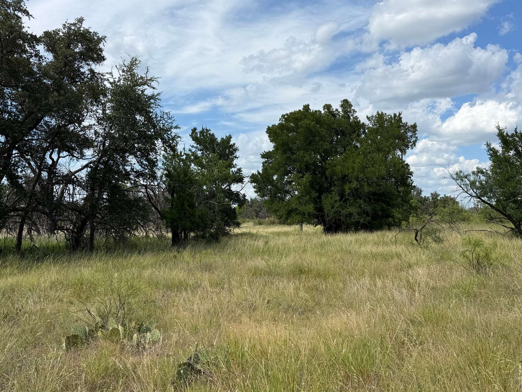 0.35 Acres of Residential Land for Sale in Brownwood, Texas