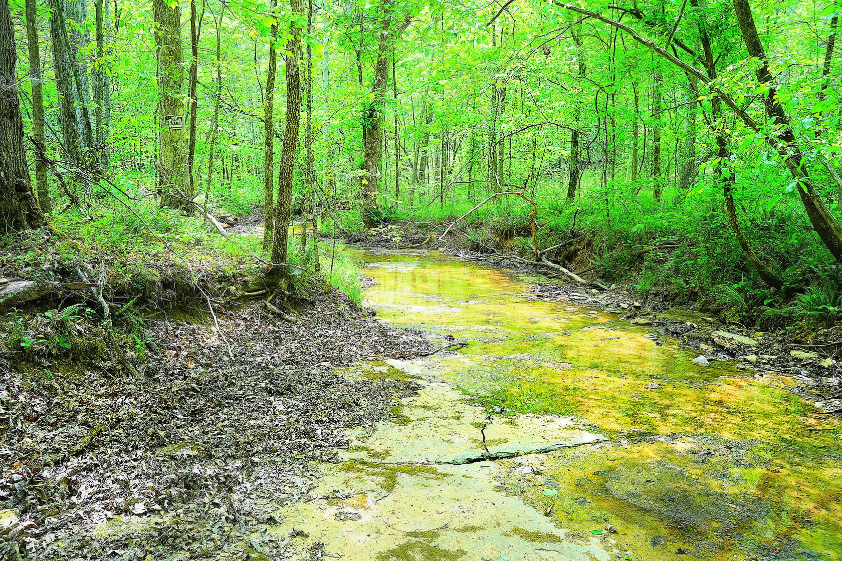 37 Acres of Land for Sale in Greensburg, Kentucky