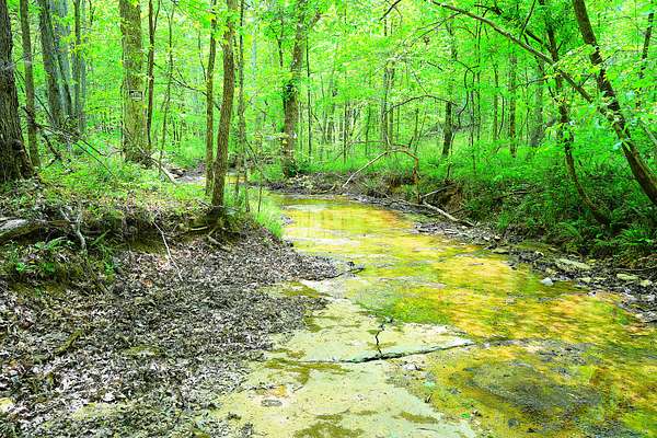 37 Acres of Land for Sale in Greensburg, Kentucky
