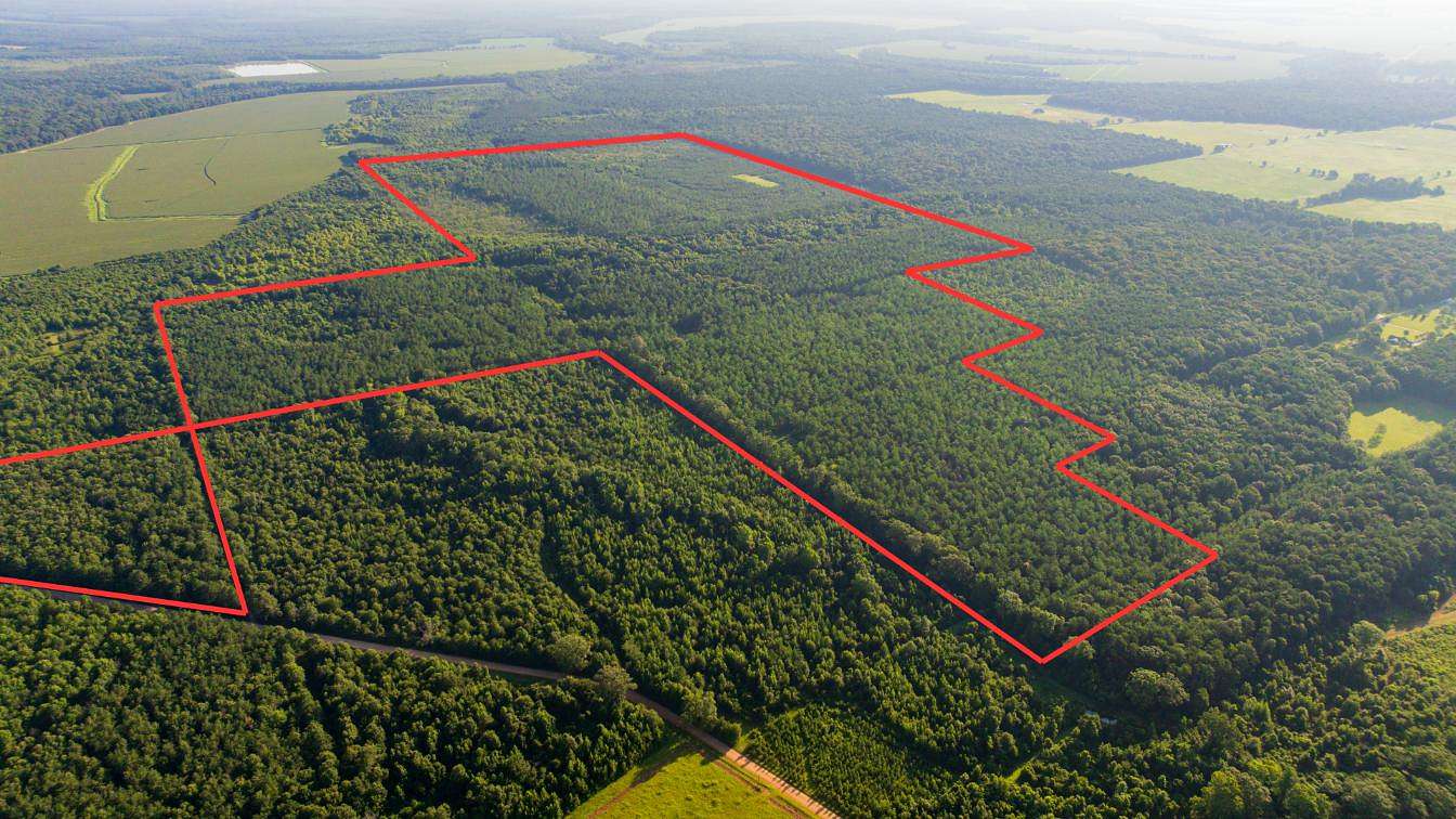 360 Acres of Land for Sale in Bastrop, Louisiana