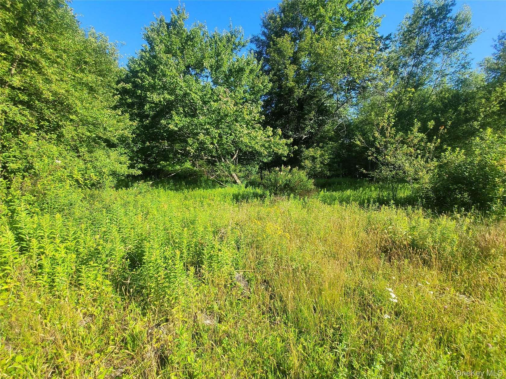 5.22 Acres of Residential Land for Sale in Liberty, New York