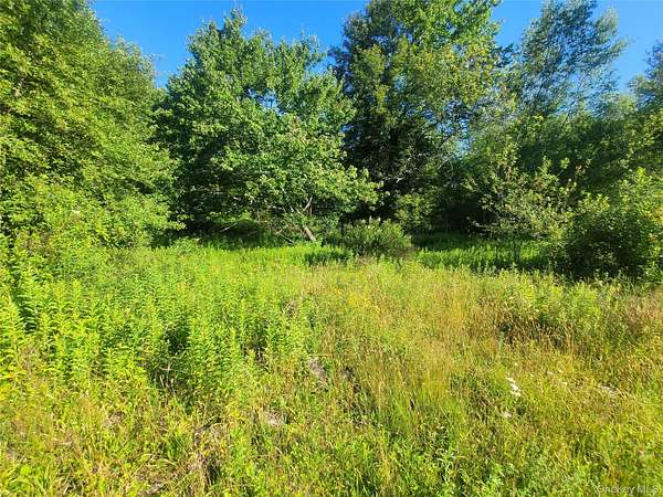5.22 Acres of Residential Land for Sale in Liberty, New York