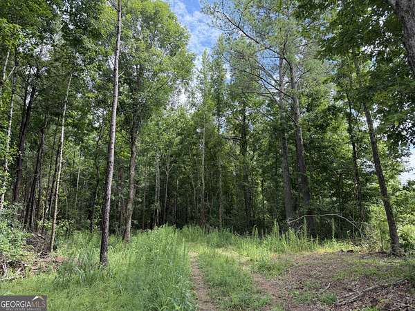 16 Acres of Recreational & Residential Land for Sale in Haleyville, Alabama