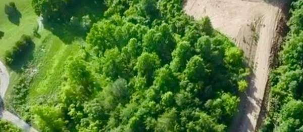 5.18 Acres of Residential Land for Sale in Parrottsville, Tennessee