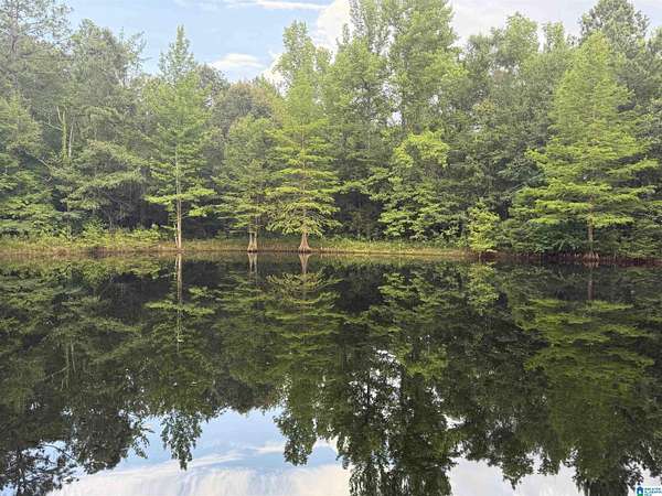 6.48 Acres of Land with Home for Sale in Verbena, Alabama