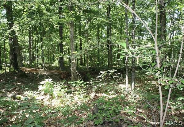 Land for Sale in Wappapello, Missouri