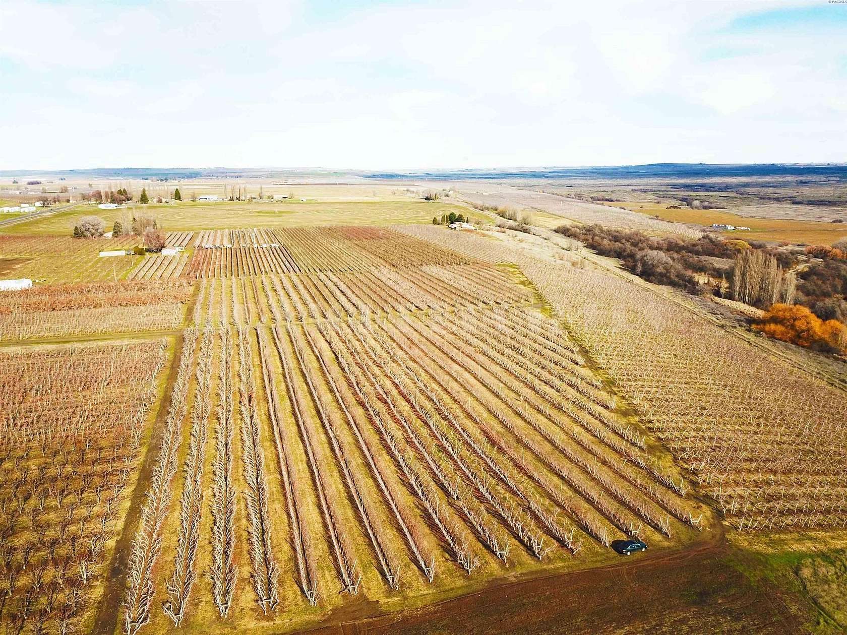 47 Acres of Agricultural & Residential Land for Sale in Mesa, Washington