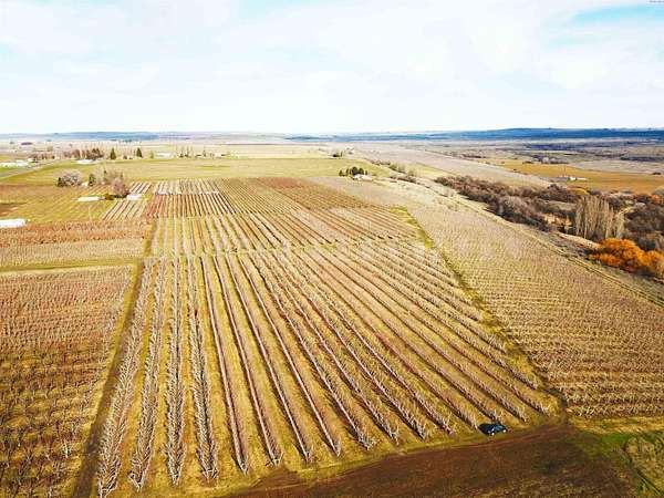 47 Acres of Agricultural & Residential Land for Sale in Mesa, Washington