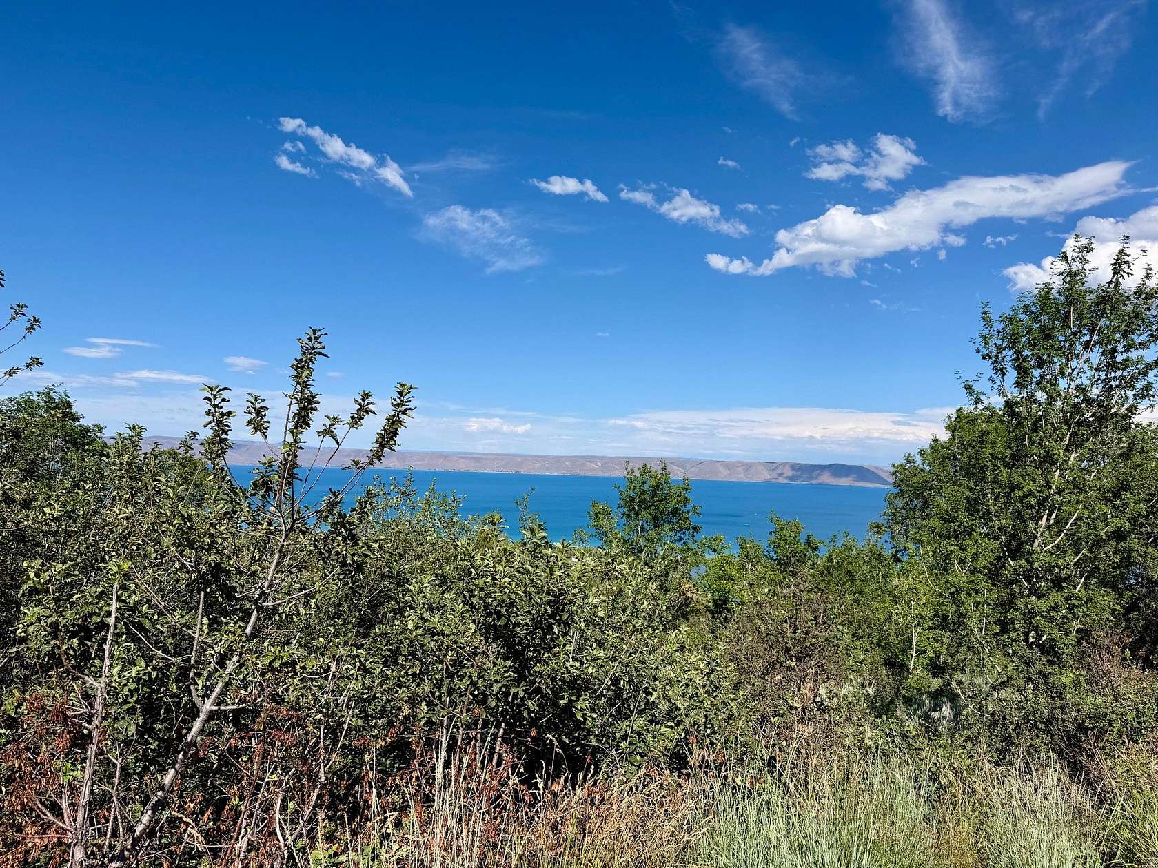 1 Acre of Residential Land for Sale in Fish Haven, Idaho
