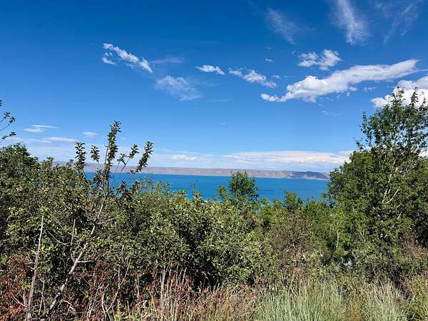1 Acre of Residential Land for Sale in Fish Haven, Idaho