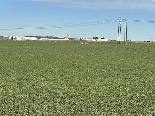 20.1 Acres of Agricultural Land for Sale in Pasco, Washington