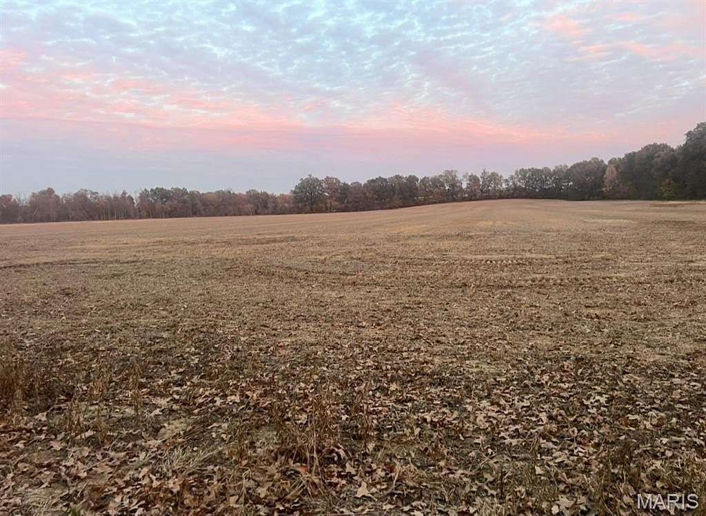 Residential Land for Sale in Bloomfield, Missouri