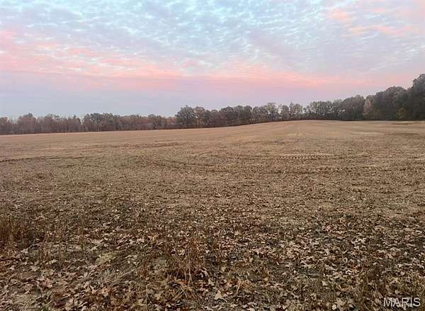 Residential Land for Sale in Bloomfield, Missouri