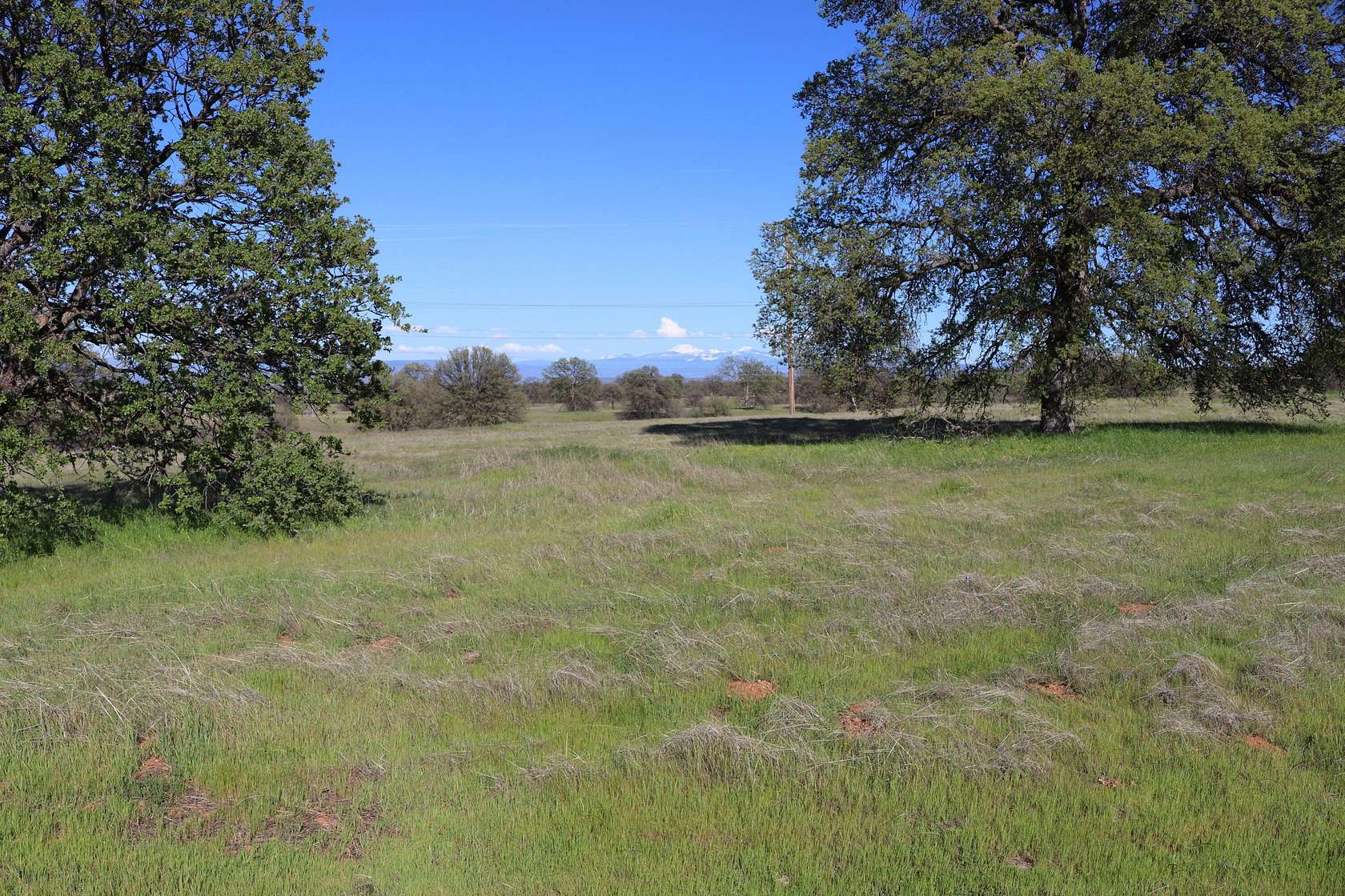 10.4 Acres of Land for Sale in Cottonwood, California