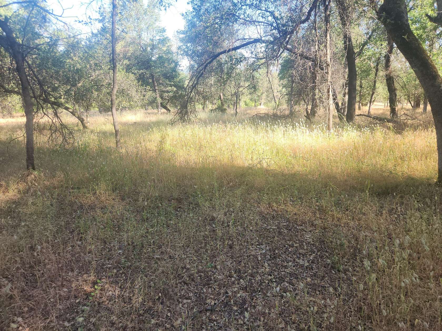 2 Acres of Residential Land for Sale in Redding, California