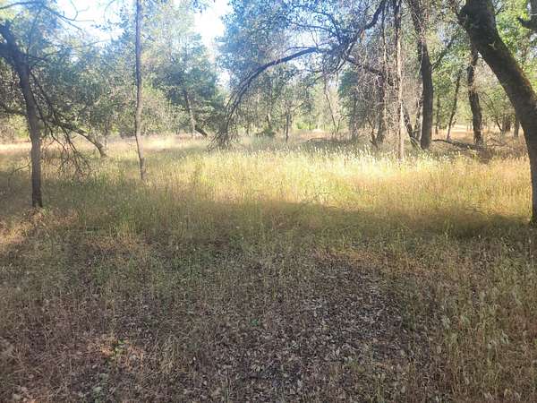 2 Acres of Residential Land for Sale in Redding, California