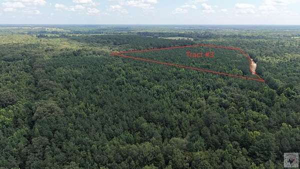 11.8 Acres of Recreational Land for Sale in De Kalb, Texas