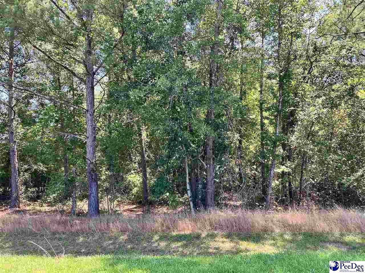 2 Acres of Residential Land for Sale in Chesterfield, South Carolina