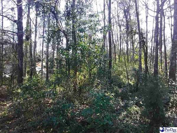 2 Acres of Residential Land for Sale in Chesterfield, South Carolina