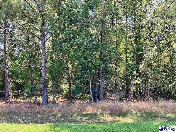 2 Acres of Residential Land for Sale in Chesterfield, South Carolina