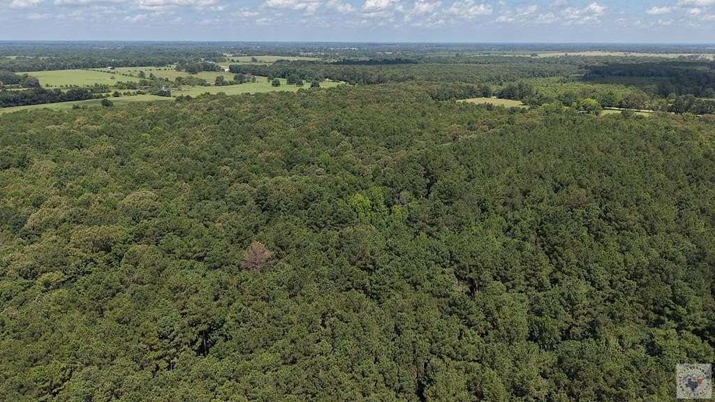 12.7 Acres of Recreational & Residential Land for Sale in De Kalb, Texas