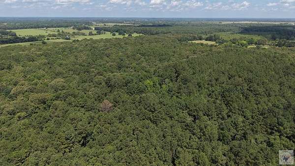 12.7 Acres of Recreational & Residential Land for Sale in De Kalb, Texas